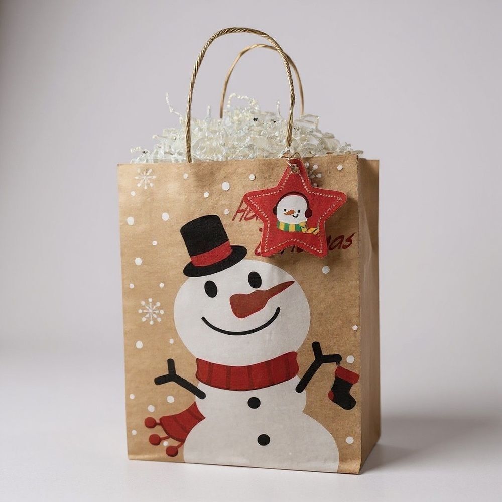 W15. Festive Gift Bag Set of 3